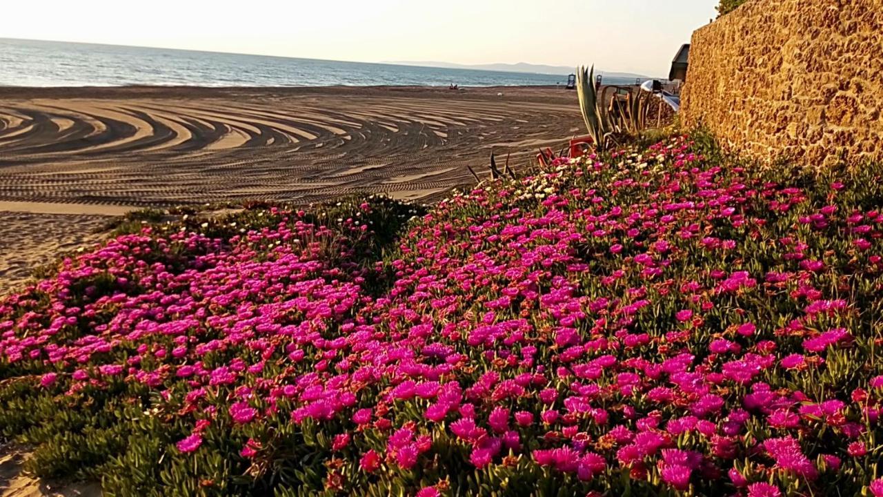 Hotel Lupo Di Mare มาริน่า เด กาสตาเนโก การ์ดูชี ภายนอก รูปภาพ